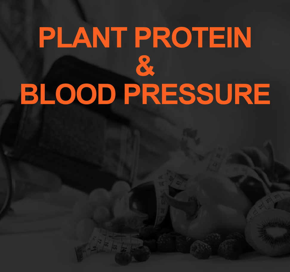 PLANT PROTEIN