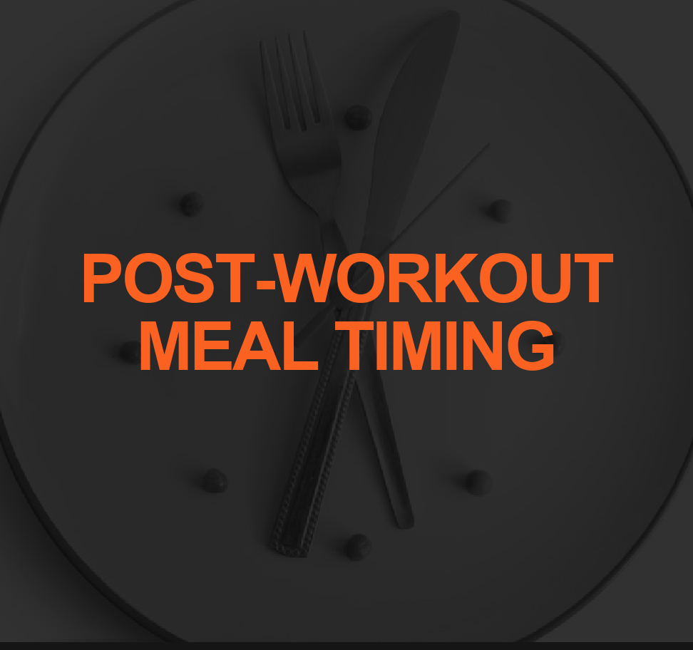 POST WORKOUT MEAL