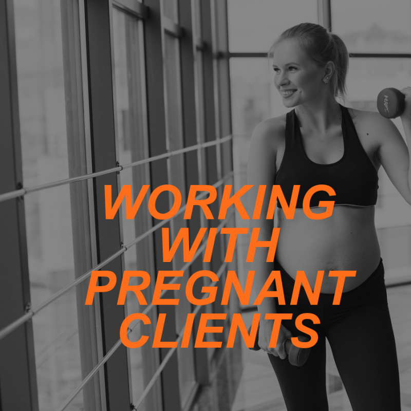 PREGNANT CLIENTS