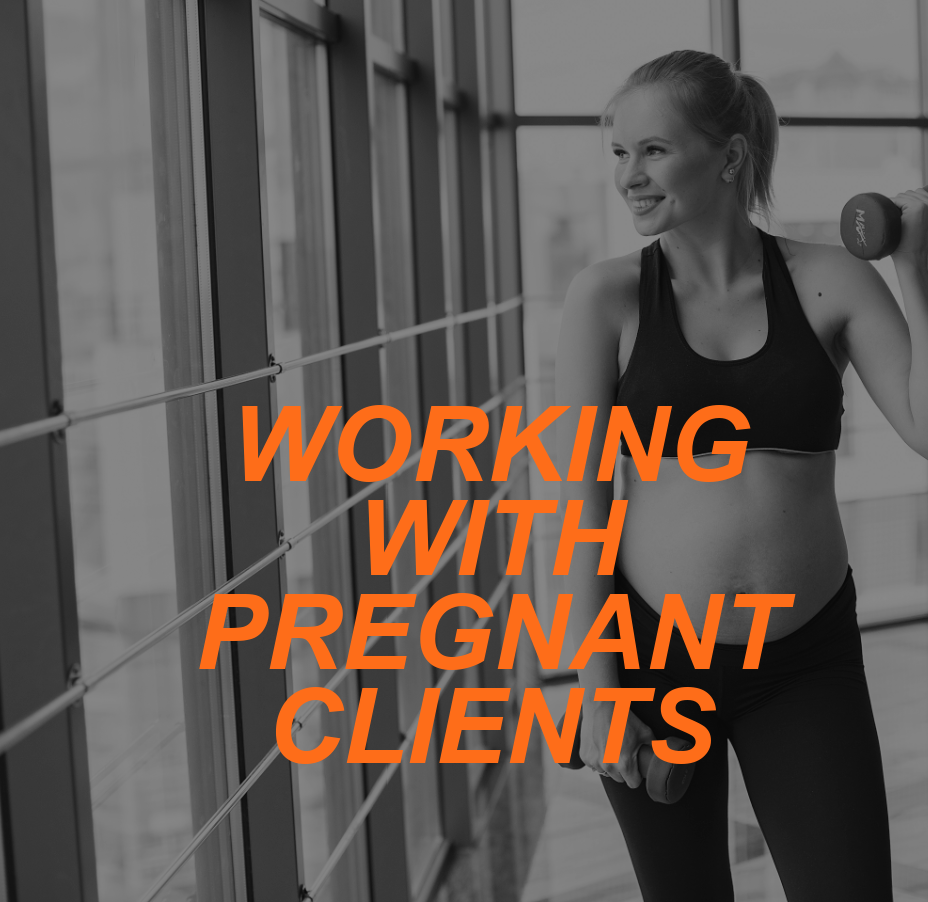 PREGNANT CLIENTS