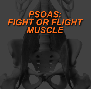 PSOAS