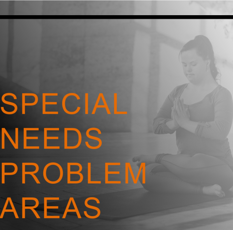 Problem Areas for Special Needs Clients and How to Target Them 2 SPECIAL NEEDS