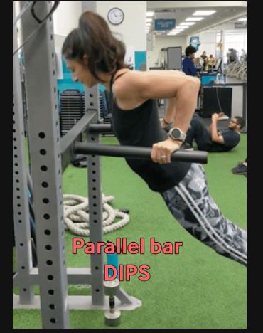 How To Do Bodyweight Dips 2 Parallel Bar Dips