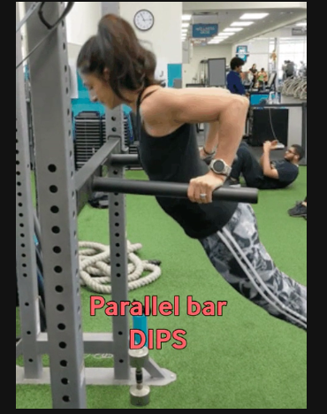 Parallel Bar Dips