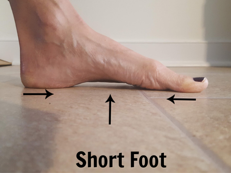 Short foot exercise