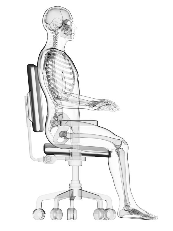 3d Rendered Medical Illustration Correct Sitting Posture