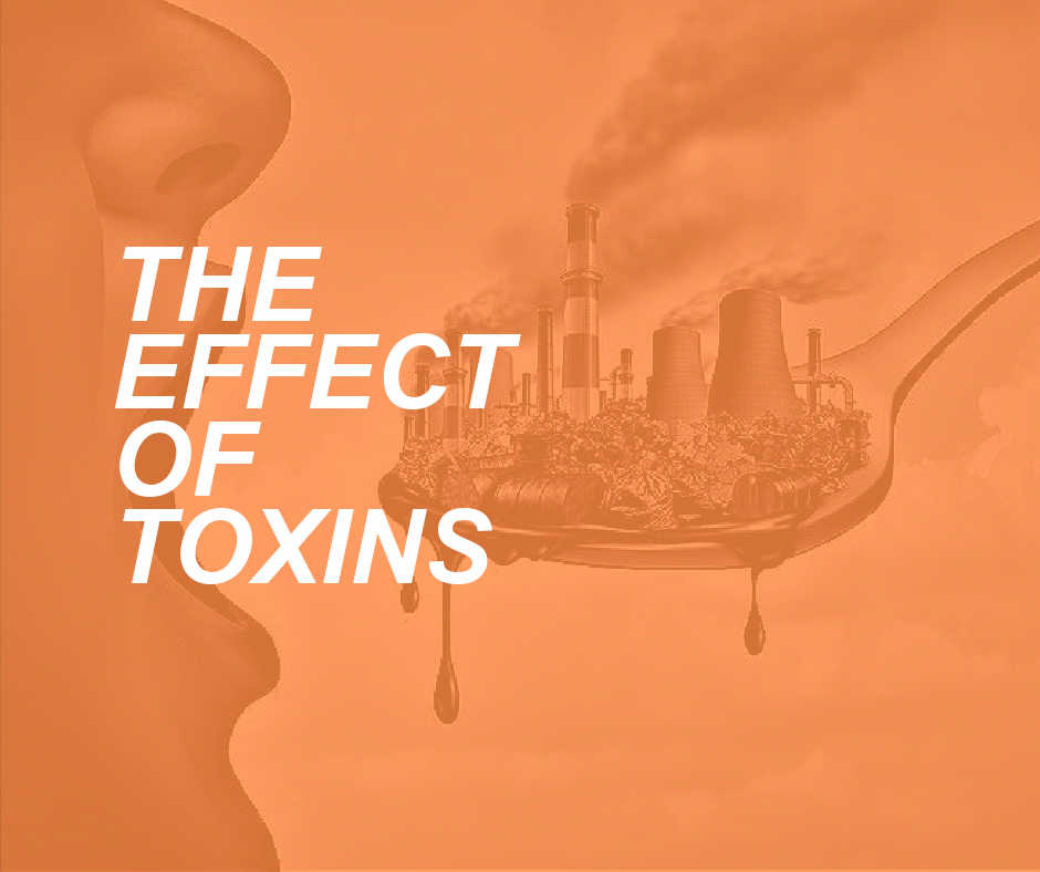 How Toxins Can Cause Cellular Damage