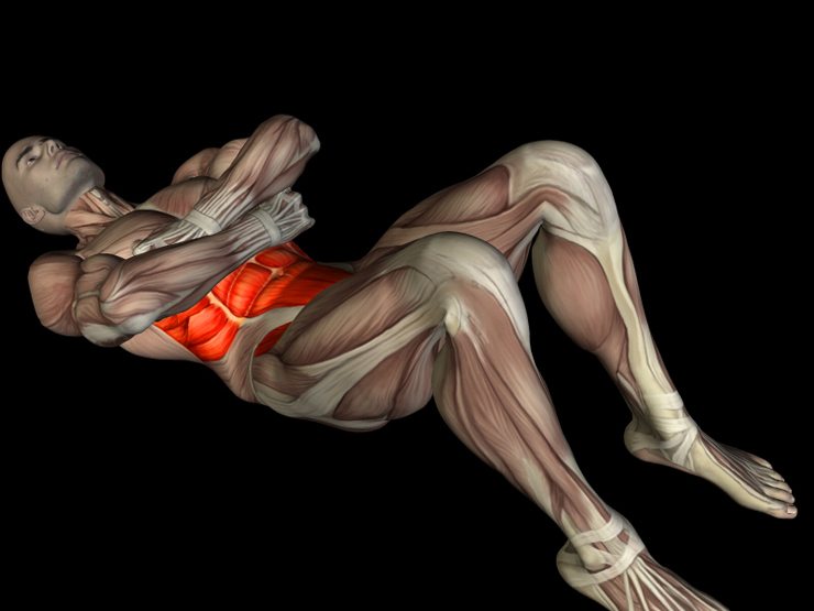 Train to Sustain Pt. 2 2 muscles