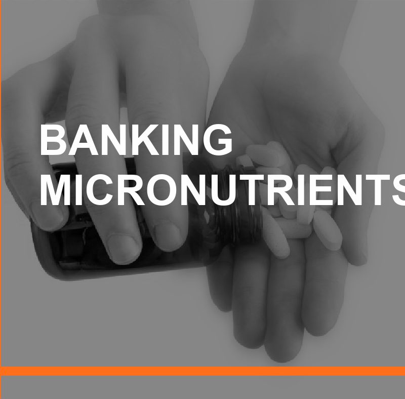 Banking Micro-nutrients for Performance 2 Banking Micronutrients