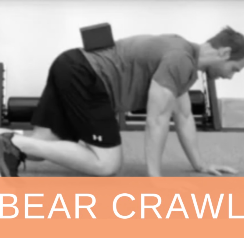 Bear Crawl