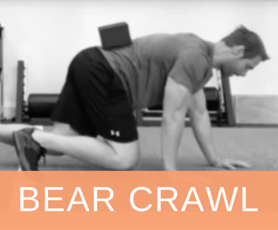 The Bear Crawl Does it All