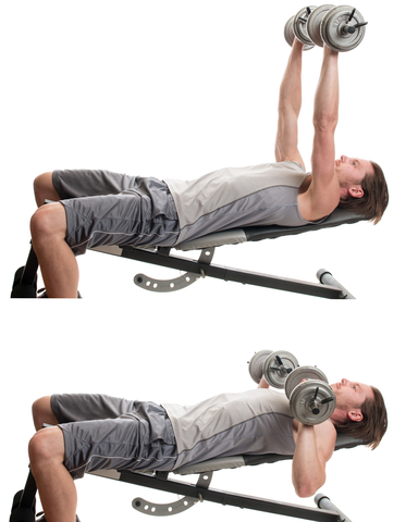 Decline bench press 2025 dumbbell
