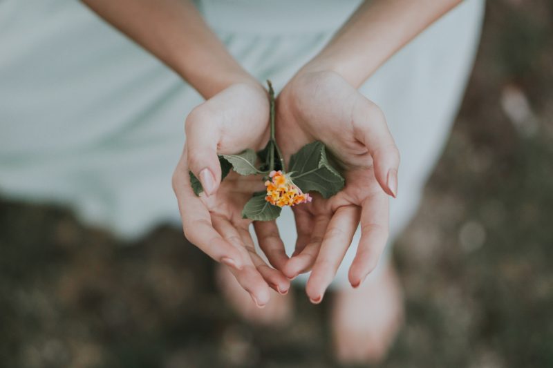 What is Wellness? 2 hands
