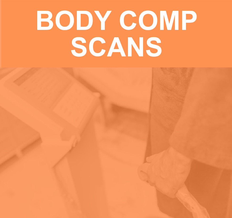 Body Comp Scan