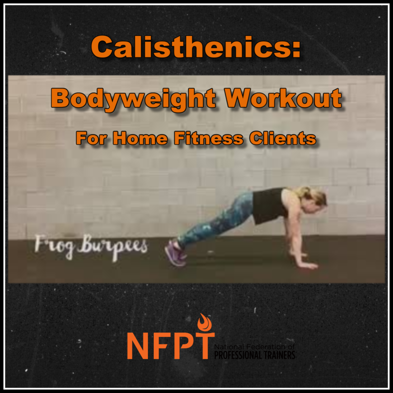 Calisthenics: Bodyweight Workout for Home Fitness Clients 2 Calisthenics