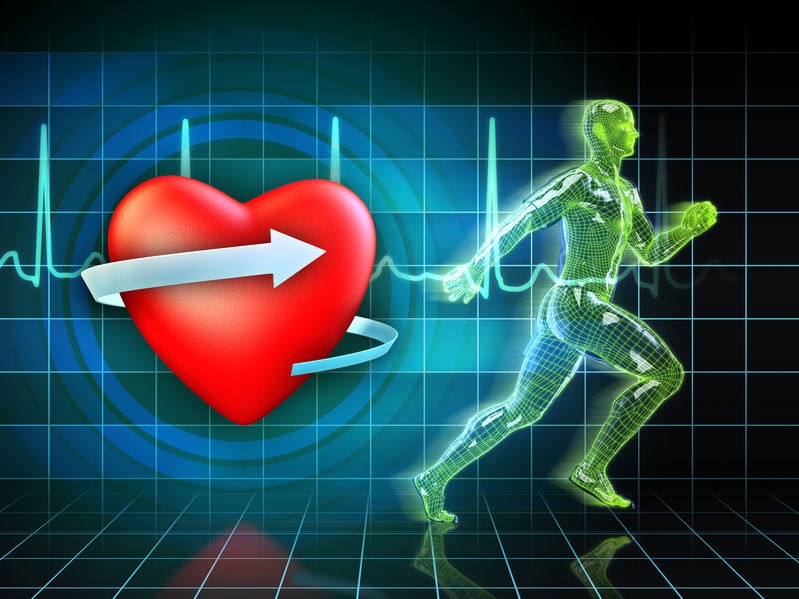 Assessing Cardiovascular Risk with Fitness Clients 2 Cardio Training