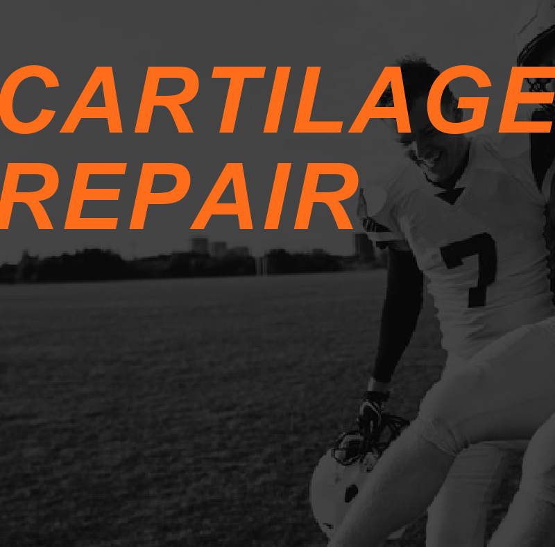 Can Cartilage be Regenerated? 2 Cartilage Repair