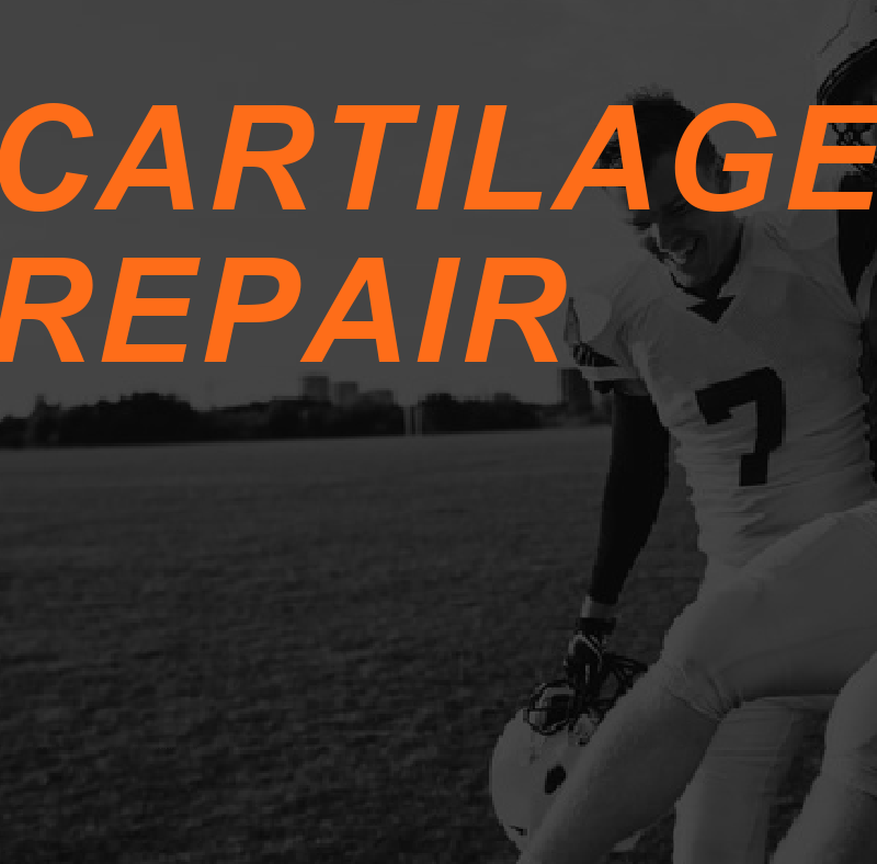 Cartilage Repair