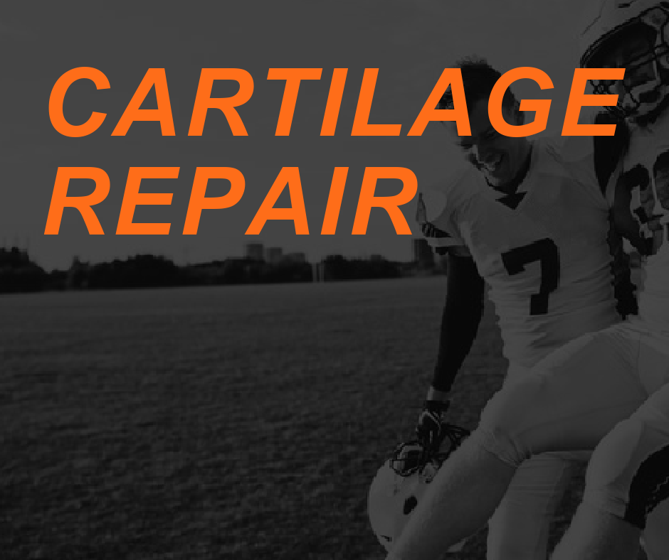 Cartilage Repair