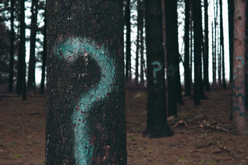Answering Fitness Client Questions Confidently 2 questions