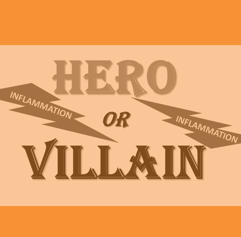 Inflammation: Hero or Villain? (Or Both?) 2 Inflammation