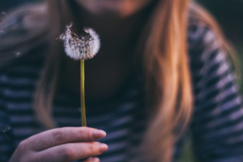Breathing New Life Into Clients With COPD 2 blowing a dandelion
