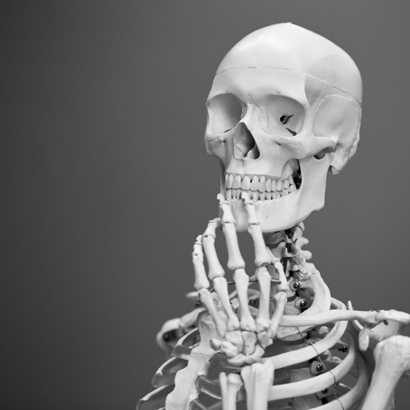 Does Your Cancer Survivor Client Have Brittle Bones? 2 skeleton