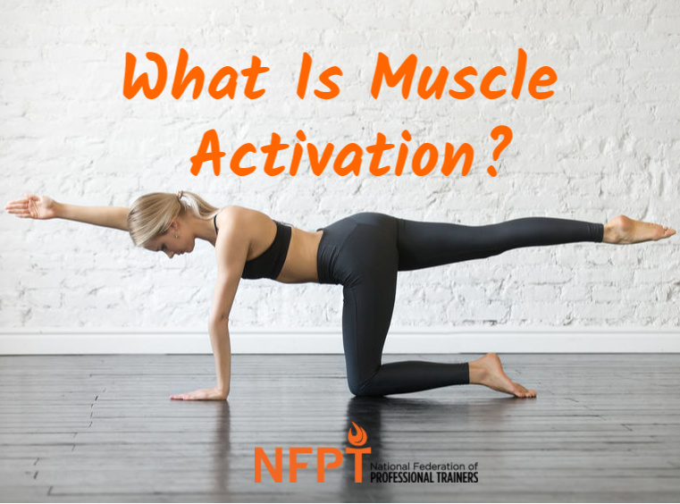 Muscle Activation