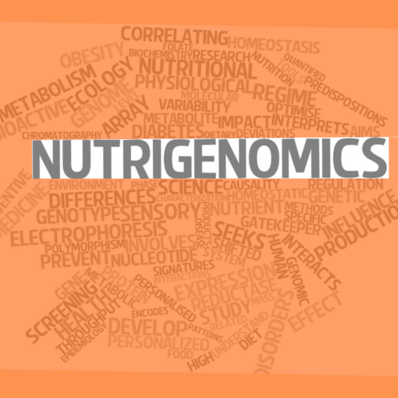 Nutrigenetics and Nutrigenomics: The Symbiosis of Genetics, Nutrition and Fitness 2 Nutrigenomics