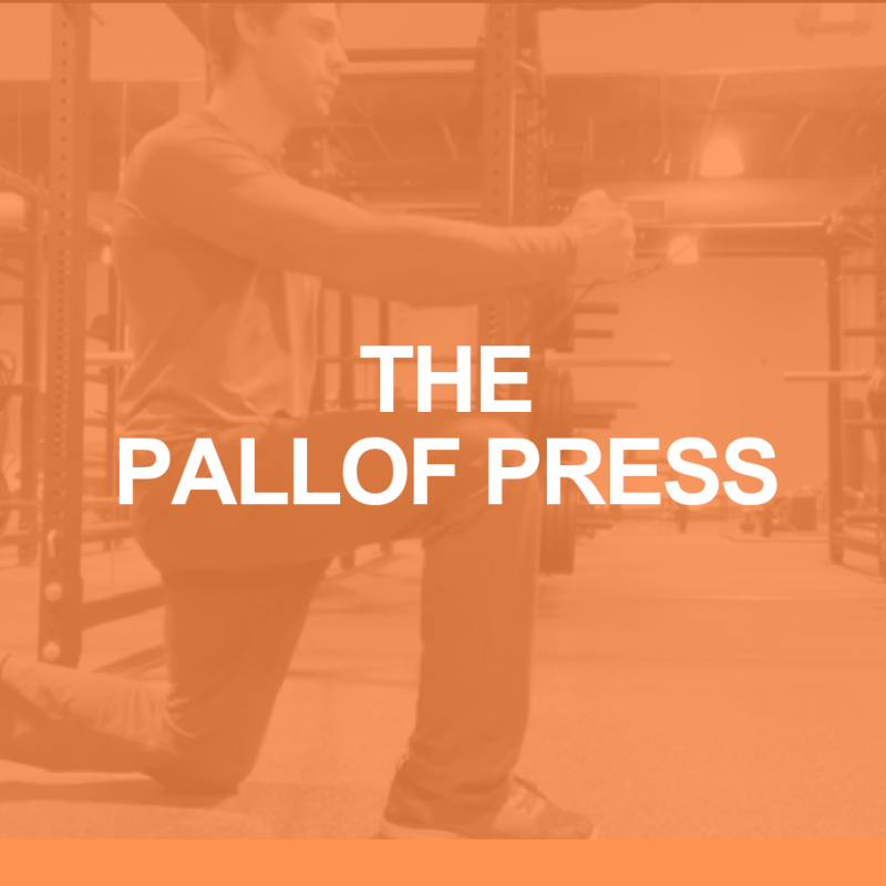 How to Do the Pallof Press 2 Pallof Press