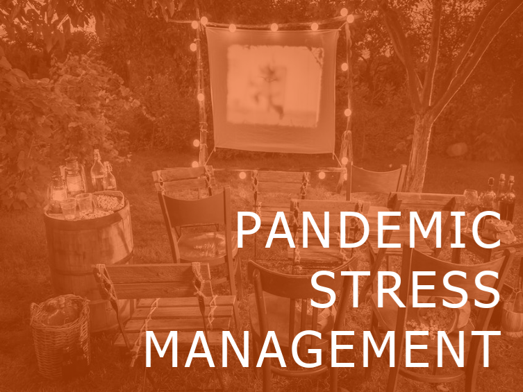 Pandemic Stress