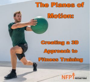 Planes Of Motion