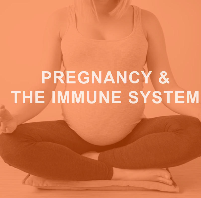 Pregnancy And the immune system