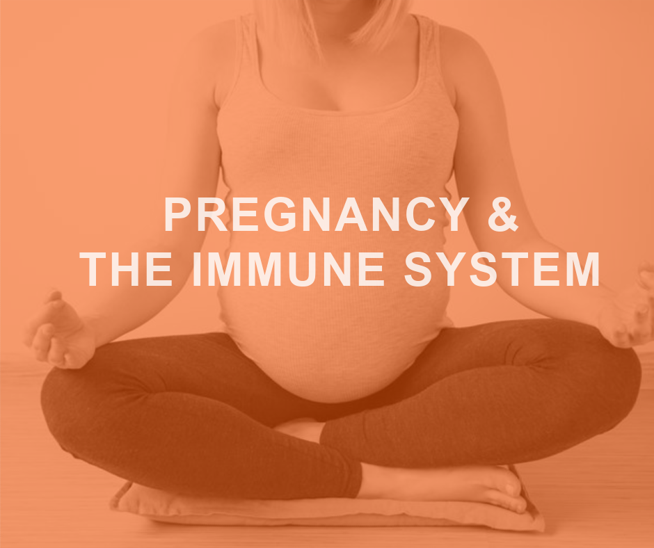 Pregnancy and the Immune System