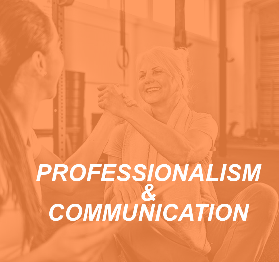 Professionalism And Communication