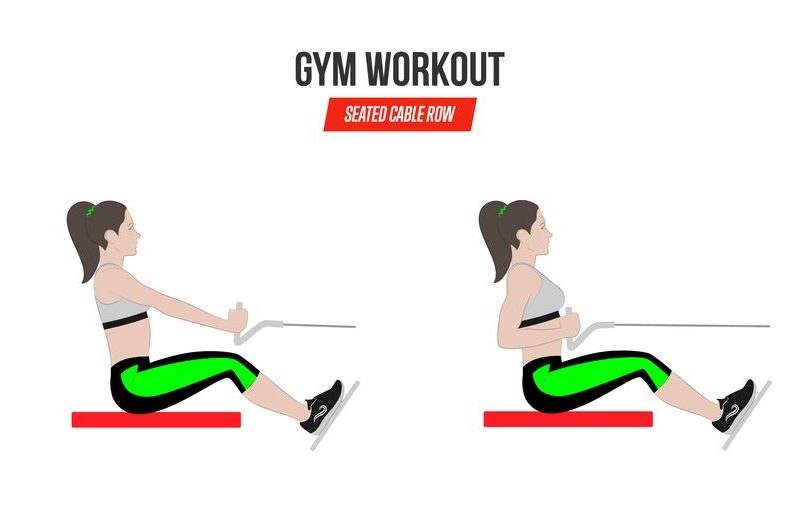 Seated Cable Row. Sport Exercises. Exercises In A Gym. Workout. Illustration Of An Active Lifestyle Vector